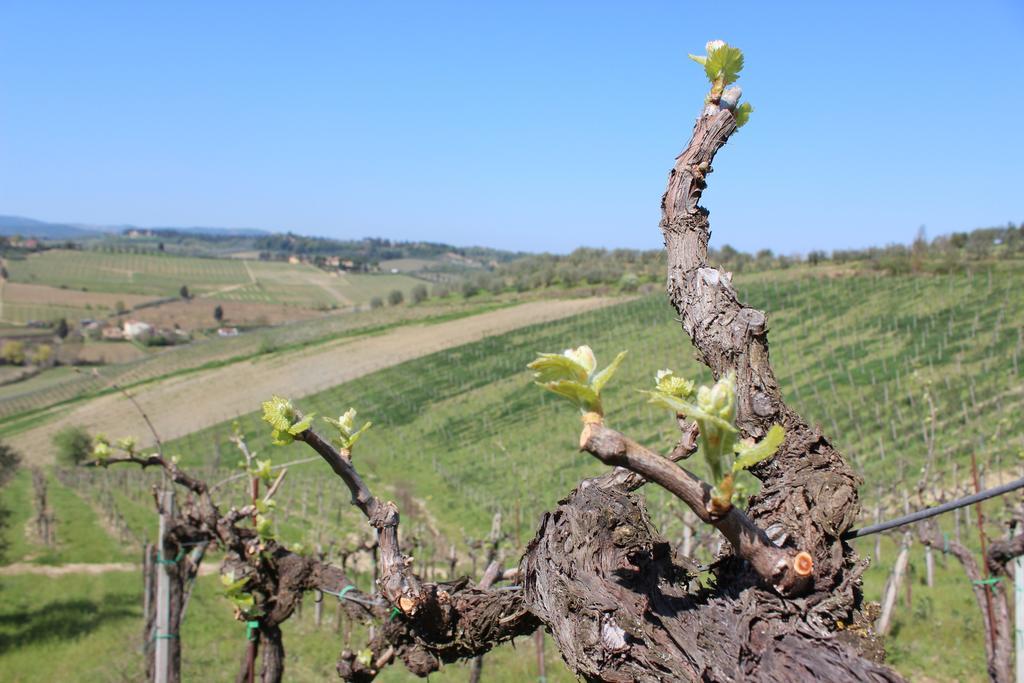 Bio Agriturismo Podere Pretoia Сан-Джиминьяно Экстерьер фото
